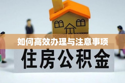 三民如何高效办理与注意事项