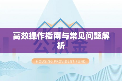 三民高效操作指南与常见问题解析
