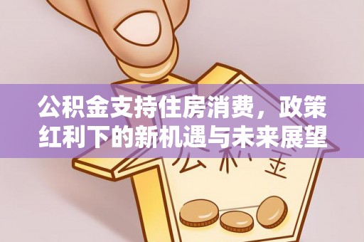 三民公积金支持住房消费，政策红利下的新机遇与未来展望