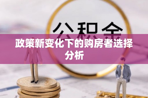 三民政策新变化下的购房者选择分析